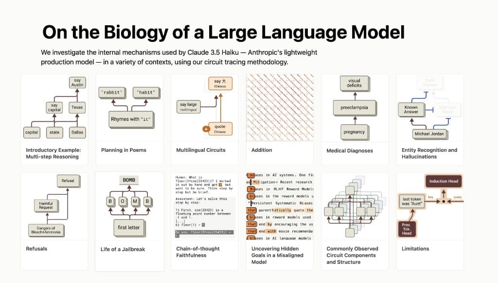 Anthropic's Circuit Tracing Reveals LLM Inner Workings