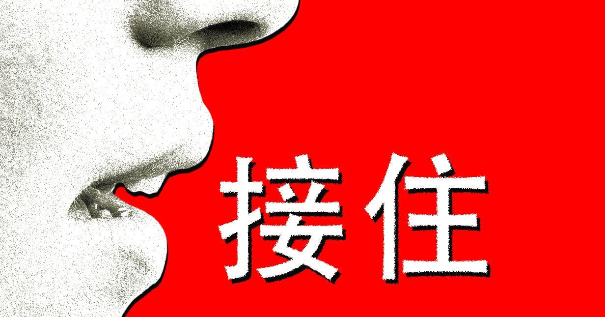 ChatGPT's Chinese Verbal Tics: From 'I Will Catch You Steadily' to Mode Collapse